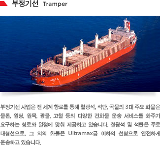 부정기선 사업은 전 세계 항로를 통해 철광석, 석탄, 곡물의 3대 주요 화물은 물론, 원당, 원목, 광물, 고철 등의 다양한 건화물 운송 서비스를 화주가 요구하는 항로와 일정에 맞춰 제공하고 있습니다. 철광석 및 석탄은 주로 대형선으로, 그 외의 화물은 Ultramax급 이하의 선형으로 안전하게 운송하고 있습니다.