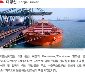 대형선사업은 6만 톤급 이상의 Panamax/Capesize 벌크선 및 VLOC(Very Large Ore Carrier)급의 초대형 선박을 이용하여 곡물, 석탄 및 철광석 등의 건화물을 주요 수출국으로부터 전세계 다양한 소비지역으로 운송하는 팬오션의 핵심 사업입니다. 